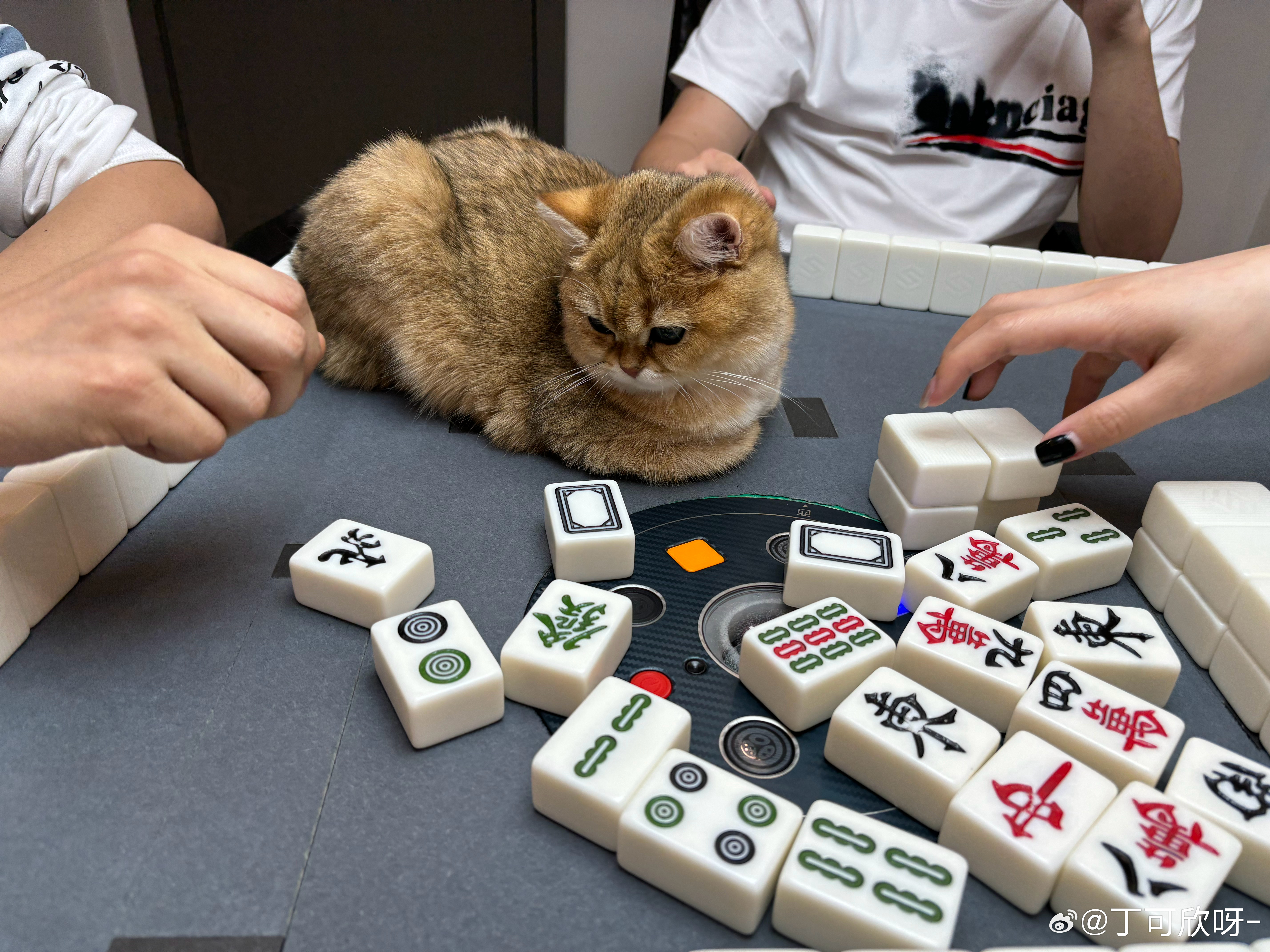 推荐一款“斗棋麻将到底有挂吗”确实有挂